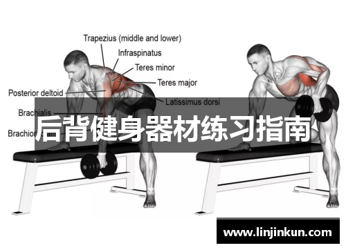 后背健身器材练习指南