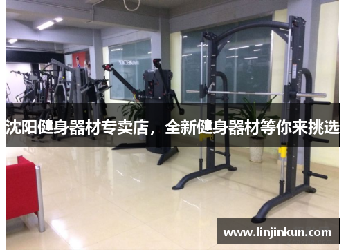 沈阳健身器材专卖店，全新健身器材等你来挑选